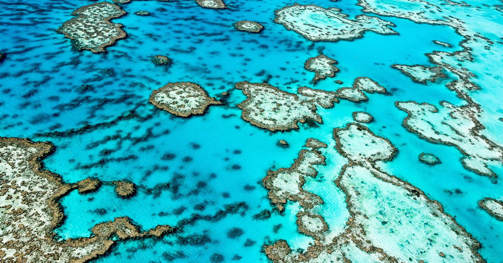 Take a helicopter ride over the Great Barrier Reef is one of the best things to do in Cairns.