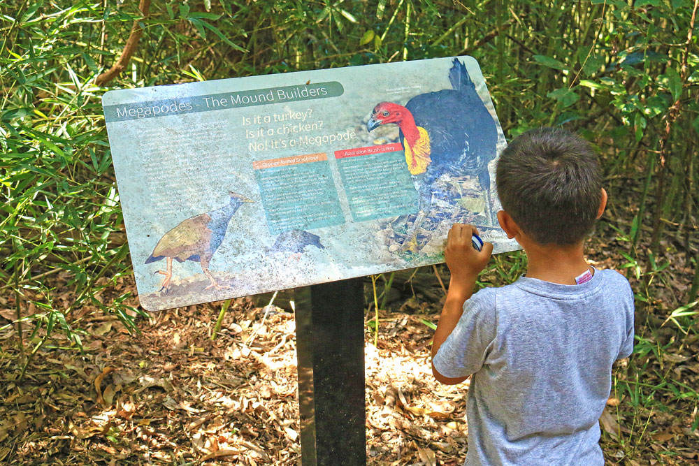 Reading an interpretive board about the wildlife in Mount Whitfield National Park.