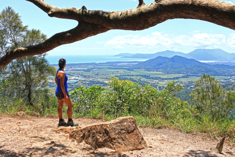 20 Best Cairns Hikes with Spectacular Views