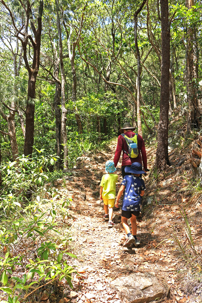 Hiking through the rainforest to reach Glacier Rock lookout. 