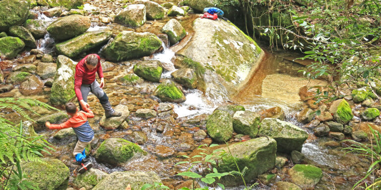 River crossing during the Mount Bartle Frere hike