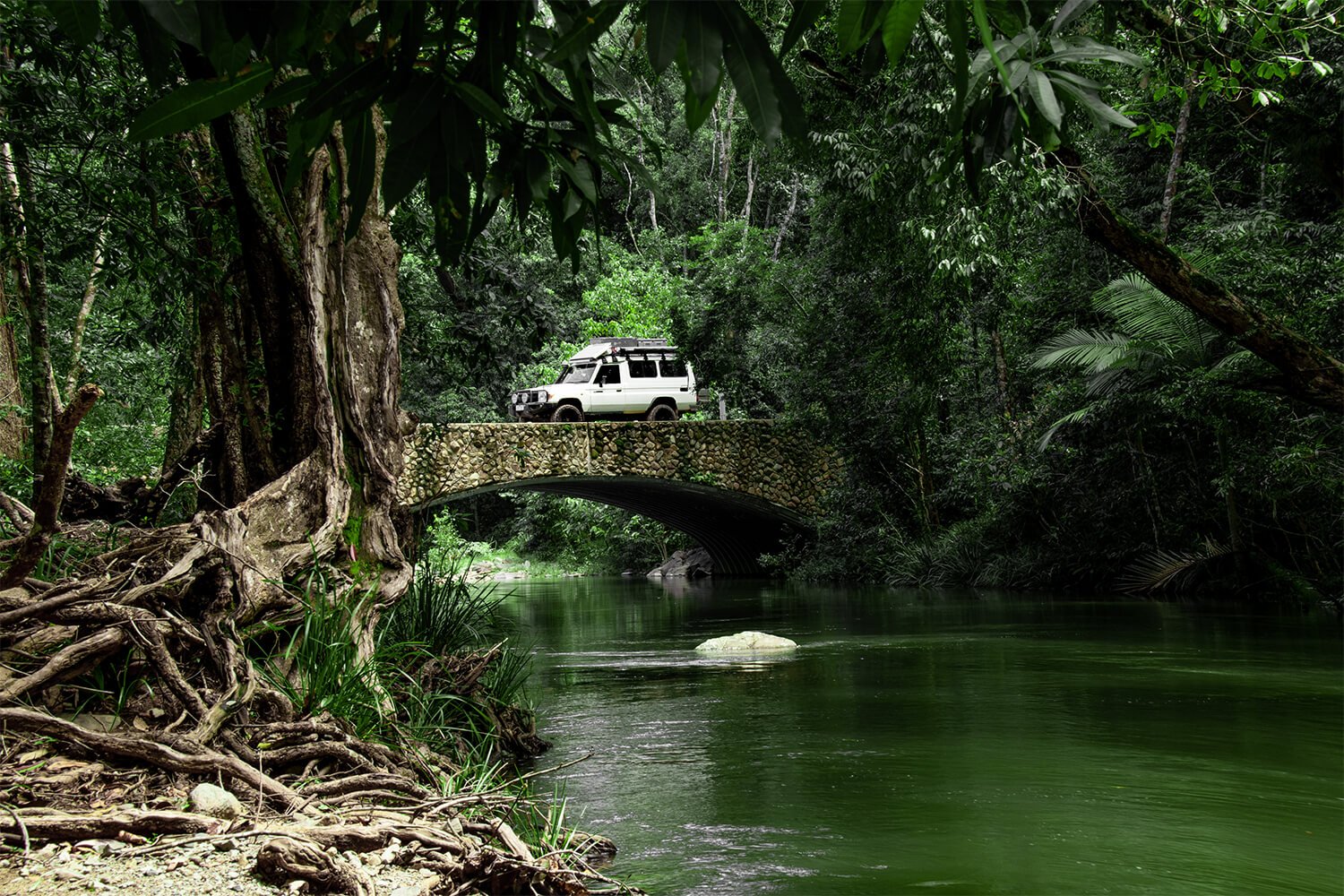 Things to do in Cairns - drive along the Bloomfield Track