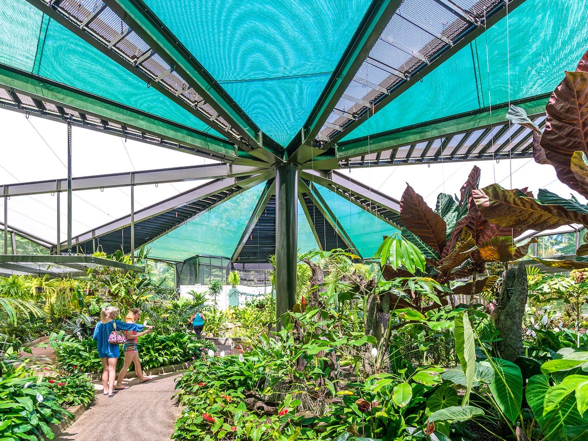 Things to do in Cairns - visit Cairns Botanic Gardens