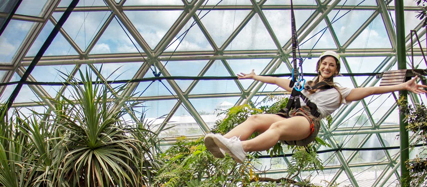 Things to do in Cairns - Cairns Zoom and Wildlife Dome