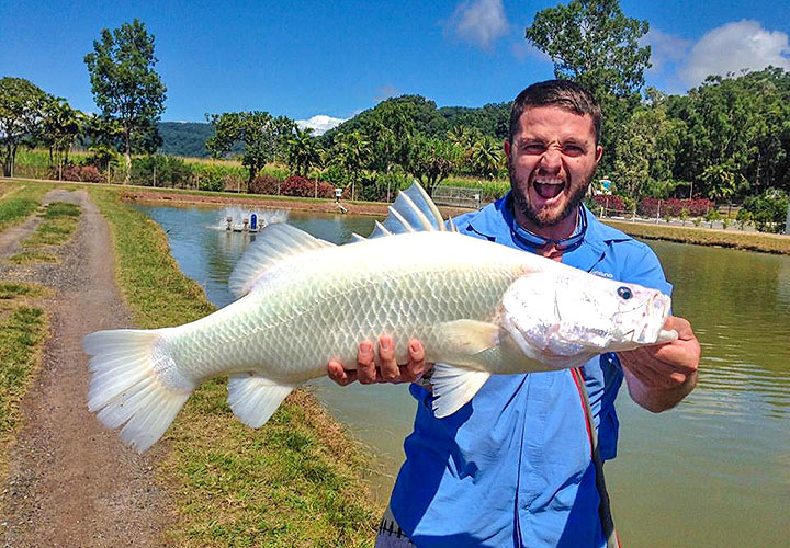 Things to do in Cairns - catch a barramundi