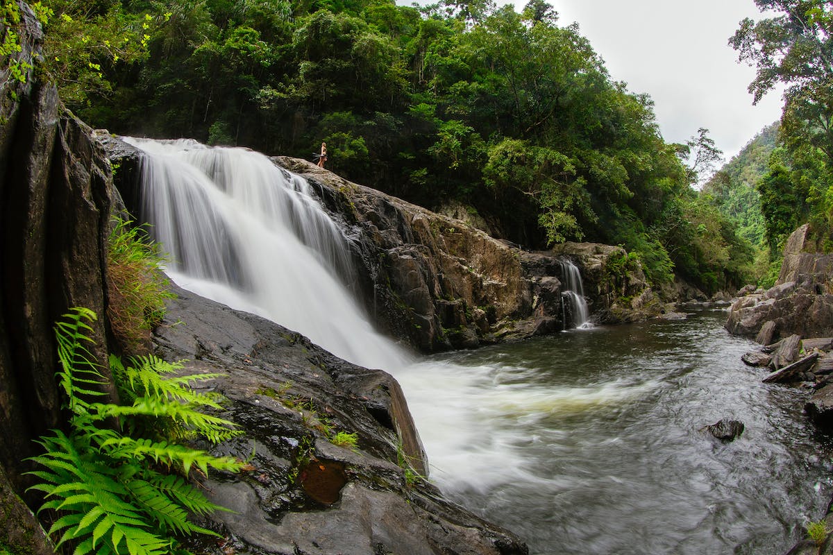 Things to do in Cairns - visit Crystal Cascades rock pools