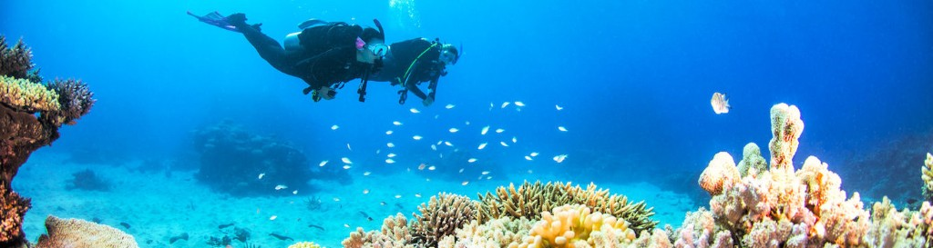 Diving the Great Barrier Reef is one of the best things to do in Cairns. 