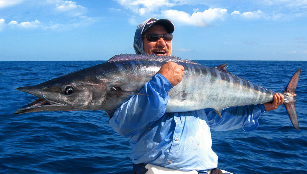 Things to do in Cairns - go reef fishing