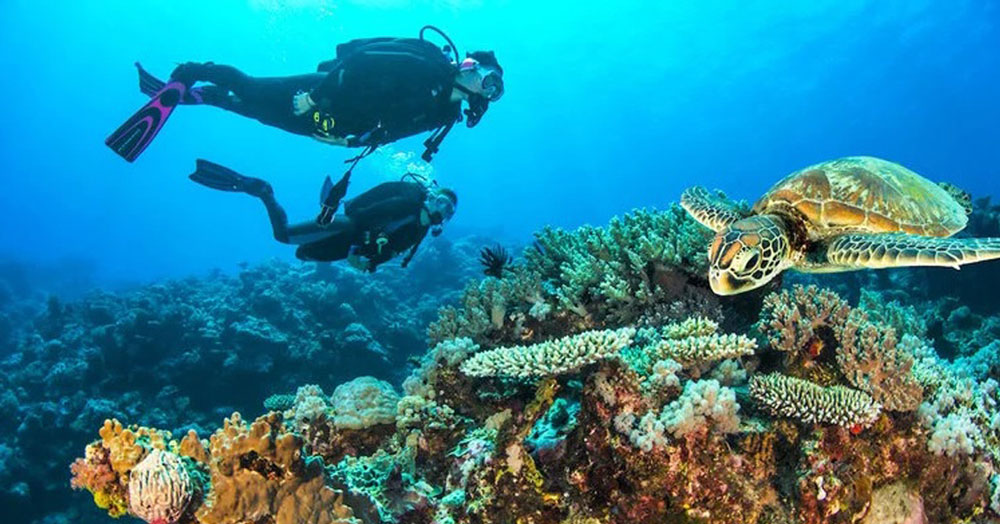 Things to do in Cairns - learn to scuba dive in the Great Barrier Reef 