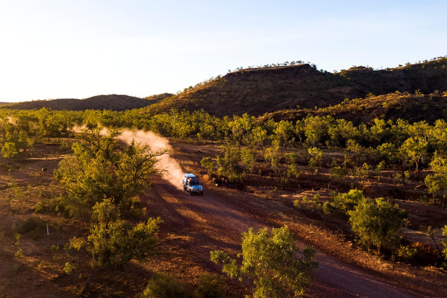 Things to do in Cairns - drive the Savannah Way