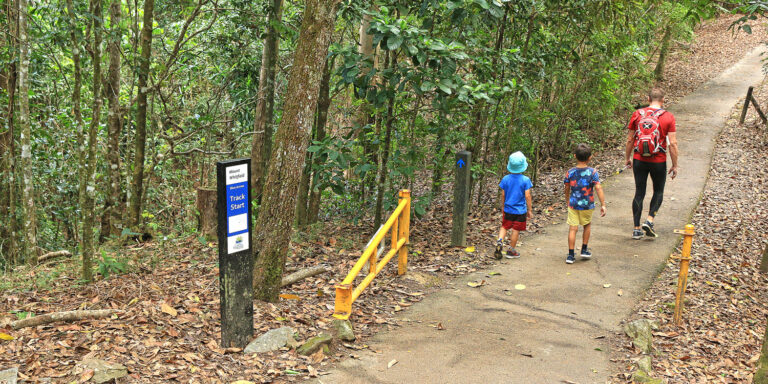 Blue Arrow Cairns: The Ultimate Guide You Need to Hike