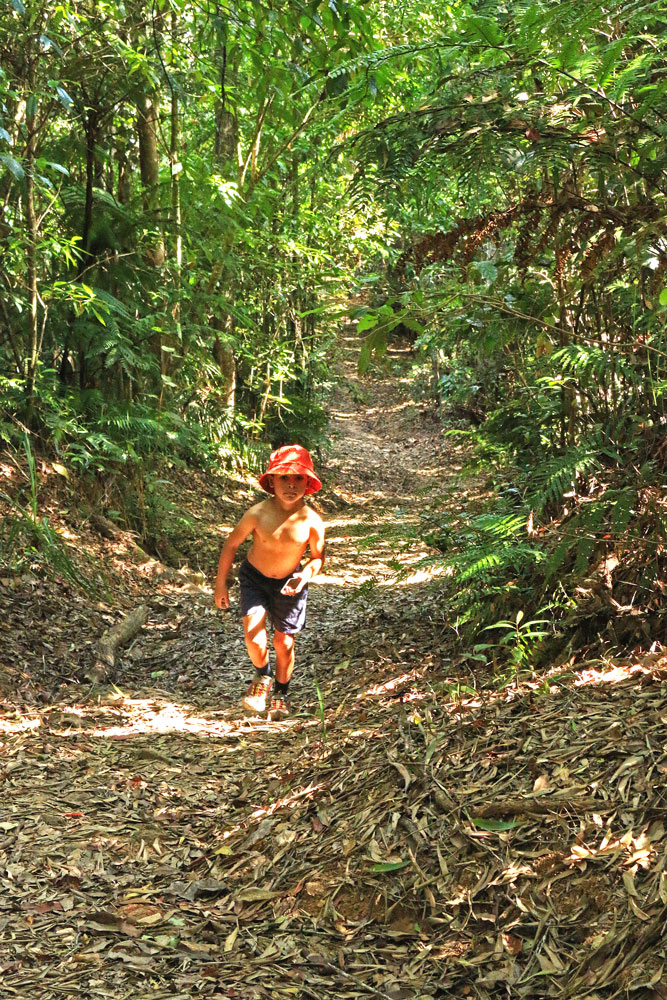 The Crystal Cascades to Copperlode Dam walk can be a tough hike in the summer heat. 