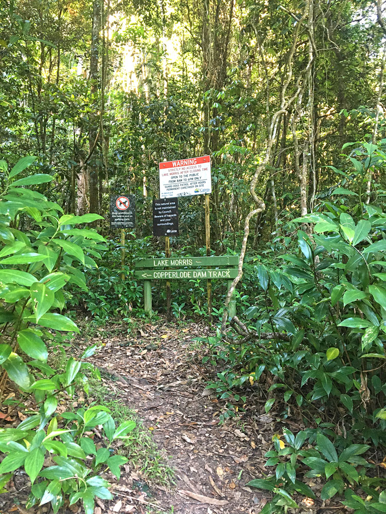 The start of the Crystal Cascades to Copperlode Dam walk