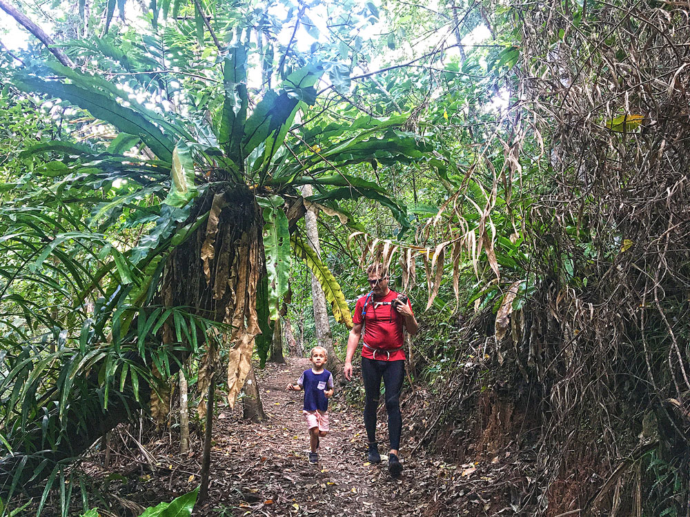 Hiking along the Earl Hill summit track.