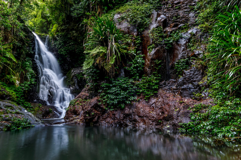 Best hikes in Australia - Gold Coast Hinterland Great Walk in Queensland