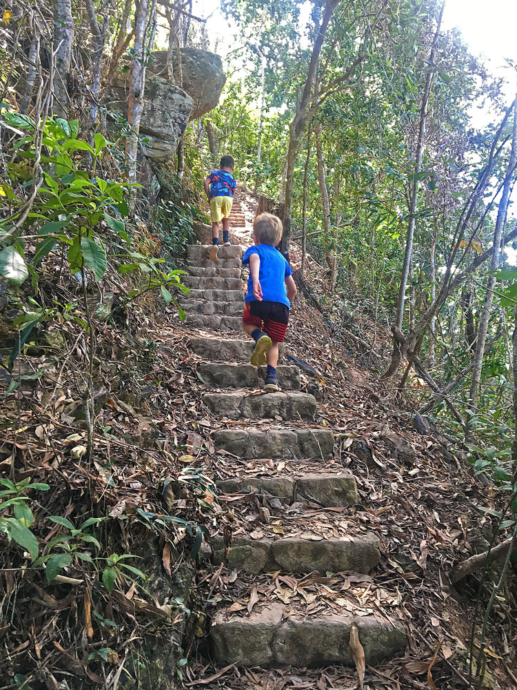 Climbing steps towards the top of the Green Arrow Cairns walking track.