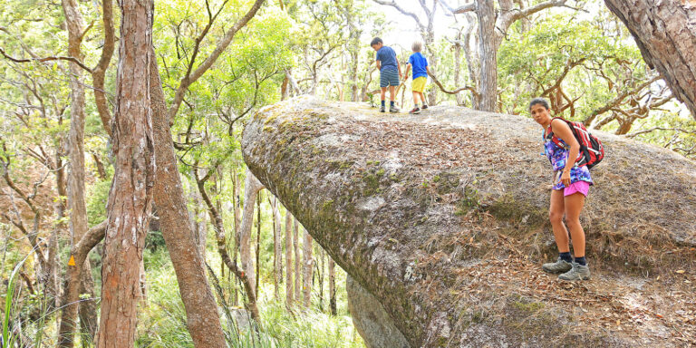 Hiking Kahlpahlim Rock and Lambs Head