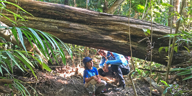 Hiking the Mount Sorrow Trail