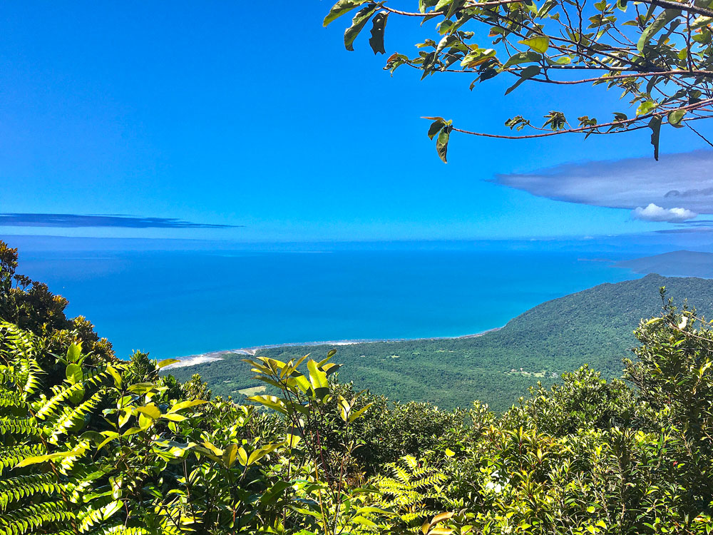 A spectacular view of the Daintree coastline at the top of the Mount Sorrow Ridge trail.