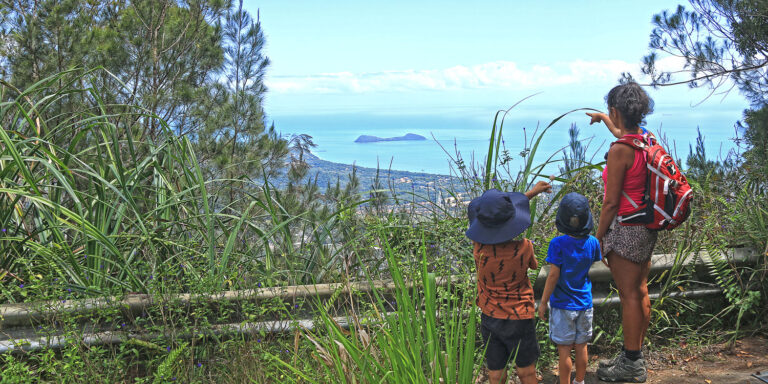 The view from Saddle Mountain lookout