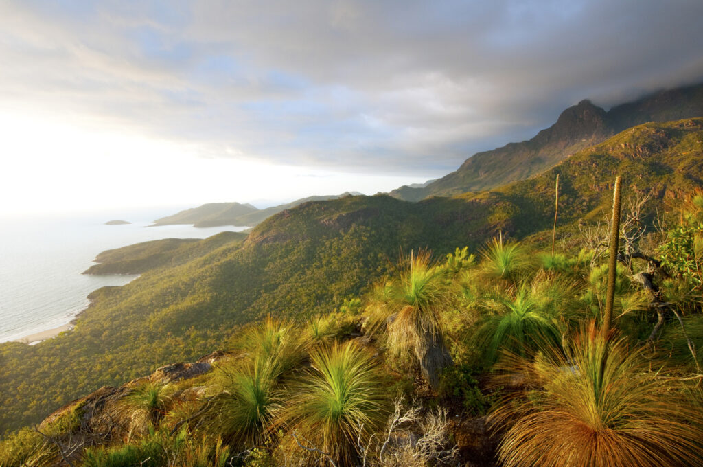 Thorsborne Trail in Queensland