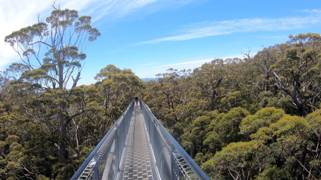 Best hikes in Australia - Bibbulmun Track (Walpole) in Western Australia