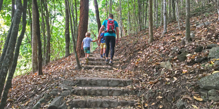 Hiking up the Yellow Arrow Cairns track