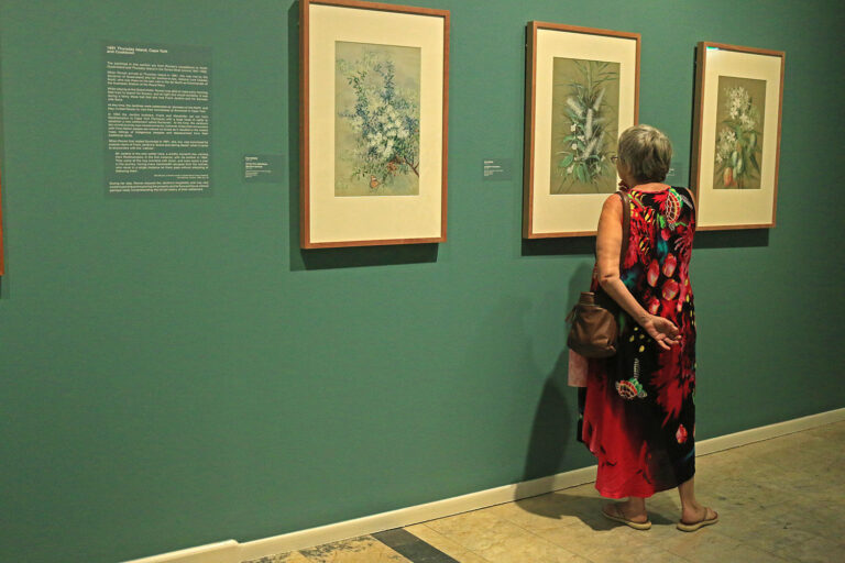 a-woman-admires-a-painting-at-the-cairns-art-gallery