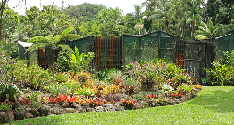 Cairns Botanic Gardens: 21 Popular Things to See & Do Here