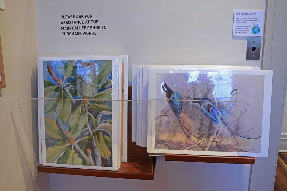 Artwork for sale at the Cairns Art Gallery. 